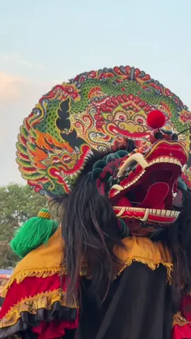 NARAPATI @rscomunity  #fy#foryoupage 