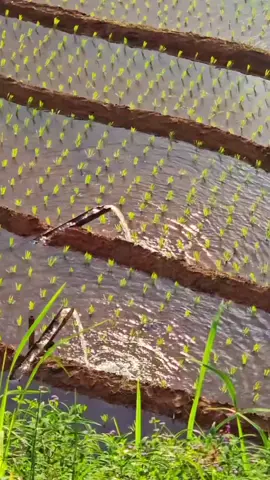 একজন নারীর ধংশ সেই দিন থেকে শুরু হয়#foryou #foryoupage #tiktokbd 