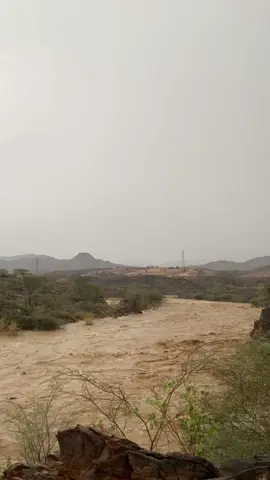 #محايل_عسير_الجنوب_اكسبلور_تصويري📸 #عسير_الجنوب_تهامة #عسير #الجنوب_السعودية #محايل_عسير_الجنوب_اكسبلور_تصويري📸 