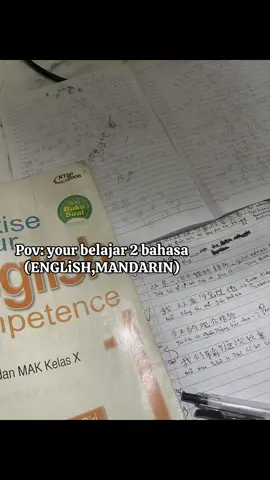 #studymandarin #studymotivation #foryou #studyenglish 