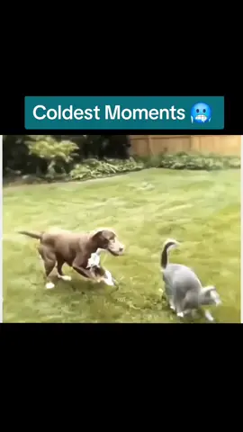 #cold #fyp #viral #coldestmoments 