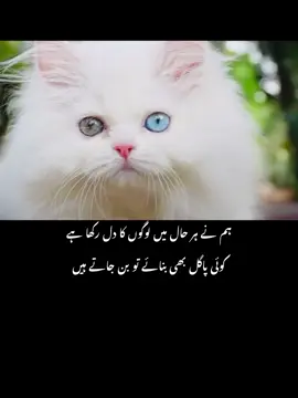 #fyp #fypvirl #fypvirl #sadpoetry #sadpoetry 