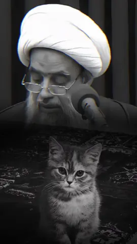 أهميه القط والديك والحمام.. #الشيخ_عبدالكريم_الحائري#القط #الحمام #مواعظ_مؤثرة 
