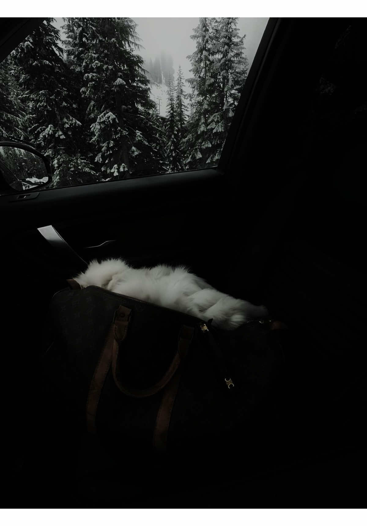 #winterarc #workout #lockin #foucused #healthybody  