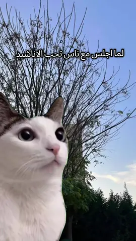 #لا_اله_الا_الله_محمد_رسول_الله #وهيكااا🙂🌸 #الحمدلله_دائماً_وابداً💚🌧️🤲 #الشعب_الصيني_ماله_حل😂😂🙋🏻‍♂️💜 