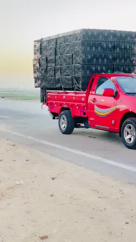 @فرولايةة بني سويف 🍓 