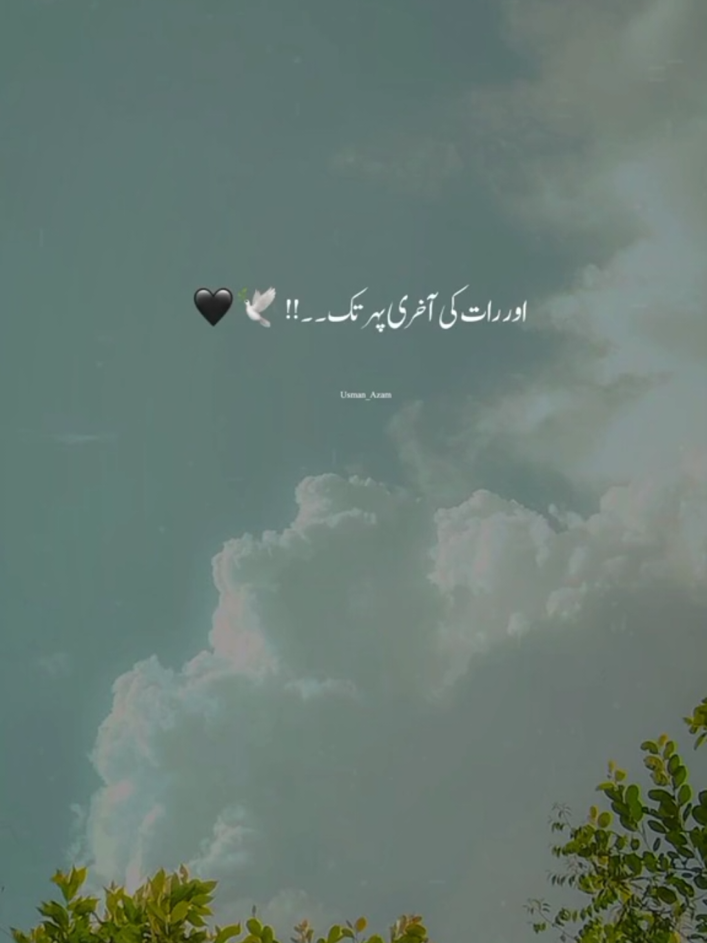 ❤️#onthisday #usman_azam_60 #aesthetic  #viral #video #growmyaccount  #foryouofficialpage #onemillionaudition 