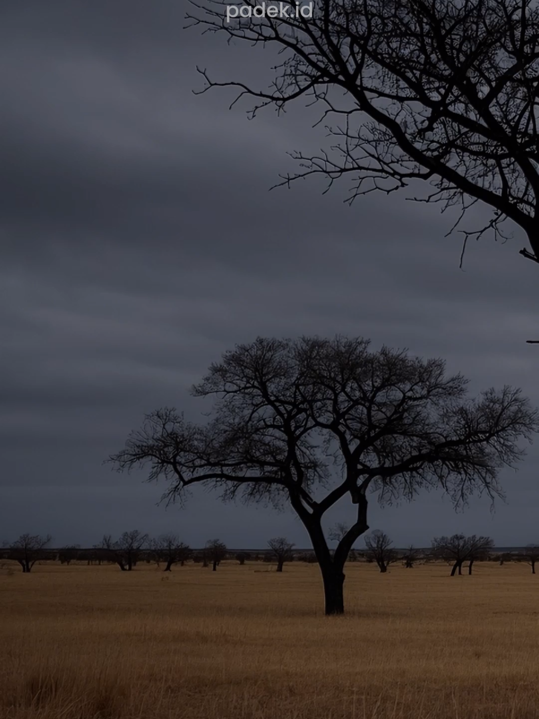 Jika hatimu sakit tapi memilih untuk diam, itulah kesabaran. Dan jika matamu ingin menangis tapi kamu memilih untuk tersenyum, itulah kekuatan. #katakatabijak #quotes #motivasi #inspirasi #katahati #status #story #reminder #pengingatdiri #viral #fyp