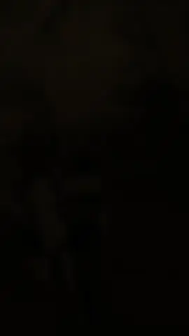 soree#sousu #wakatobi #tren #chenematic #mx150 #rxking #fyp 