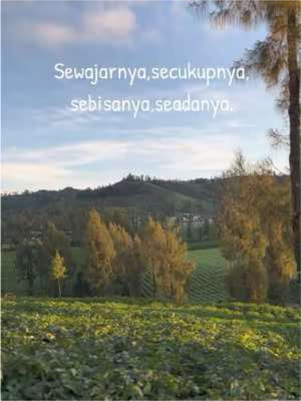 #petaniindonesia🇮🇩🇮🇩🇮🇩🌿🌿 #petanimuda #fyp @Mahrus 