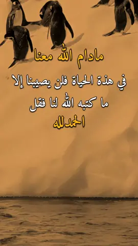 مادام الله معنا 👌✋ #عبارات #امير #اكسبلورexplore 
