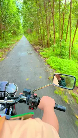 Buổi chiều chill chill 🥰.   #csgt #xuhuong #càmau 