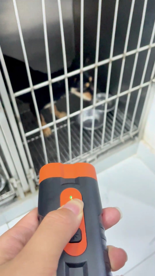 Dog keeps barking? Problem solved!#antibarkingdevice#barkingdog#stopbark#dogvideos#dogvideo