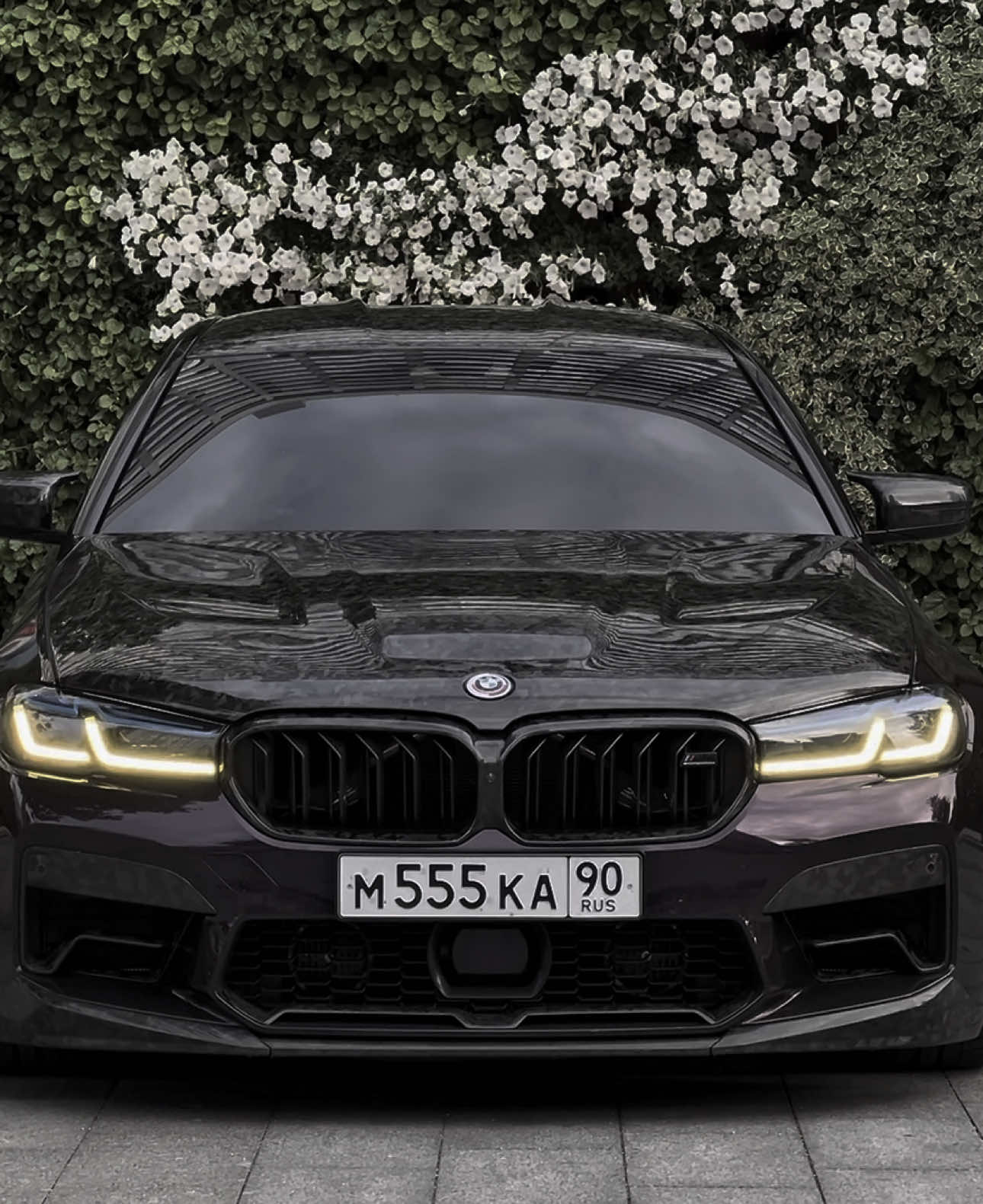 Заказать Эдит можно в тгк.. #рекомендации #pskovskiy #car #edit #on 