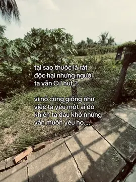 #_hieu_12011 #fbtxuhuong #ctxkxuhuong #fypシ #ddnxuhuong 