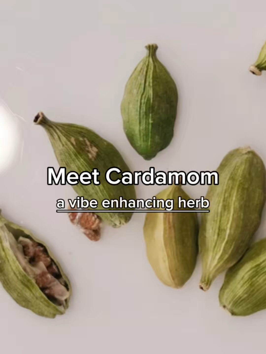 Ingredient #3 in Lucky Zaki incense cone is...green cardamom! 🌿✨ She’s here to clear stagnant vibes and open your breath. In Tibetan medicine + Ayurveda, it’s a go-to for warmth, energy, and clarity. Burn it when you’re manifesting, journaling, or just hyping yourself up. Main character energy. No side effects. 💛 #herbs #herbalmedicine #incense #naturalingredients #traditionalchinesemedicine #cardamom #lhasaremedy