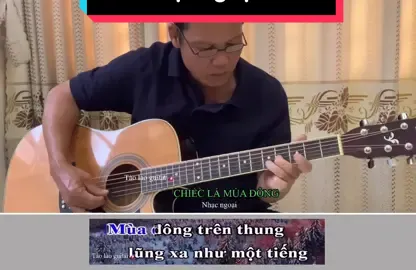Chiếc lá mùa đông #xuhuong #taolaoguitar #guitarkhongloi #nhackhongloi #virral 