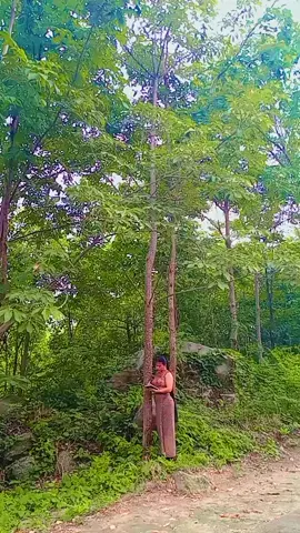#mamazaw #သတိရတ ‌ဲ့အကြောင်းတွေစာစီလို့ထားခဲ့ပါတယ်#myanmartiktok🇲🇲🇲🇲 #foryou 