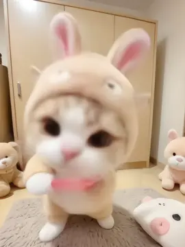 #cat #xuhuongtiktok #giaitritiktok #dangyeu #meo 