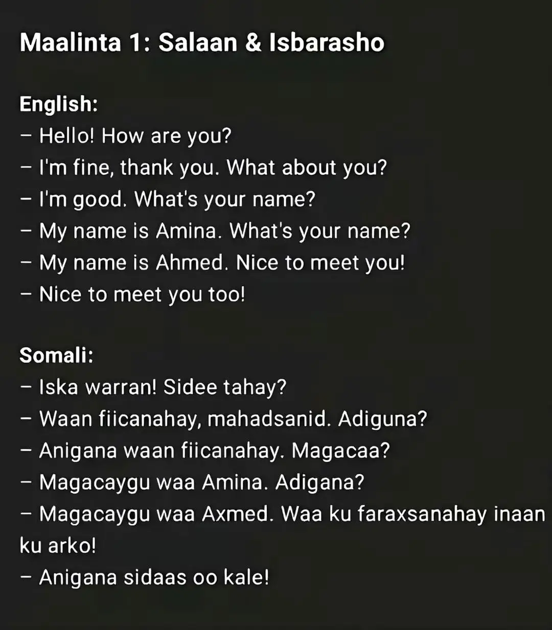 #waxabarashadaankudadaalnoisha a#allahamdulillahforeverything❤️🙏 #libanmalahaanaduunyaduwalaliyaalhoosfiiri #soomalitiktok🇸🇴🇸🇴🇸🇴🇸🇴🇸🇴🇸🇴😍💯 #soomalitiktok🇸🇴🇸🇴🇸🇴🇸🇴🇸🇴🇸🇴😍💯 #runtasheehfyou #tahariipahapoi3 #runtasheehfyou #libanmalahaanaduunyaduwalaliyaalhoosfiiri #soomalitiktok🇸🇴🇸🇴🇸🇴🇸🇴🇸🇴🇸🇴😍💯 @منيره معلم مصطفي 🧕🏻🫶🏻🎀 @juweeriyo jano 💝👸❤️ @Hayla 