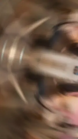 #မြင်ပါများပီးချစ်ကျွမ်းဝင်အောင်လို့🤒🖤 #CapCut #နန်းထက်စံ #အချစ်ဆုံးသူရဲ့အတ္ထုပ္ပတ္တိ #စုလေးကချစ်စရာလေးမလား😝😍 