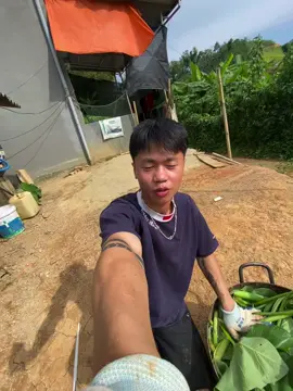 Câu chuyện về quê #phưaclock #vềnha #vungqueyenbinh 