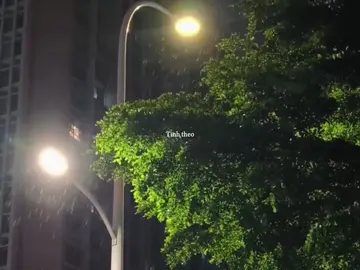 Tình theo cơn gió mãi chẳng quay lại..#phoiphai #motchutbuon #lunyentertainment 