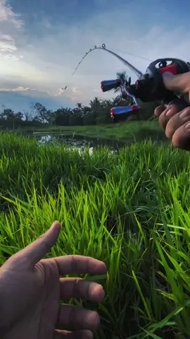 cobain bc yg lagi viral ternyata enak gaes  #CapCut #starfall #bcstarfal #starfalldc #seahunter #seahunterstarfalldc #bcviral #castinggabus #castingharuan #castingfishing🎣 #castingerindonesia 