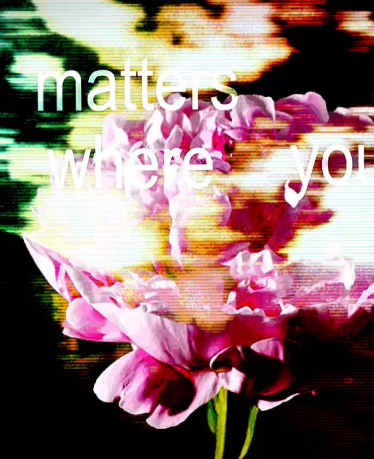 #whenthesunhits #slowdive #edit #targetaudience 