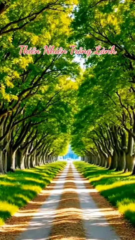 Lê hữu hạnh #Riview Cảnh Quan Thiên Nhiên #xuhuong #canhdepthiennhien#videogiaitri2025#lenxuhuong 