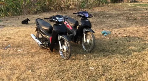 2/9 ae dự định đi đâu