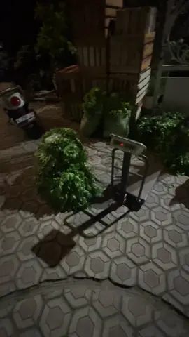 Pesona jam malam gledekan koloup😜🤙🏼 #pedagangsayur #bakolsayur #bosmuda #juragansayur #fypシ 