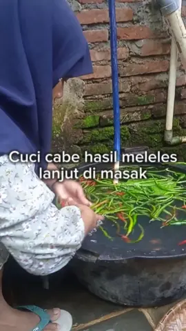 Masak nanas