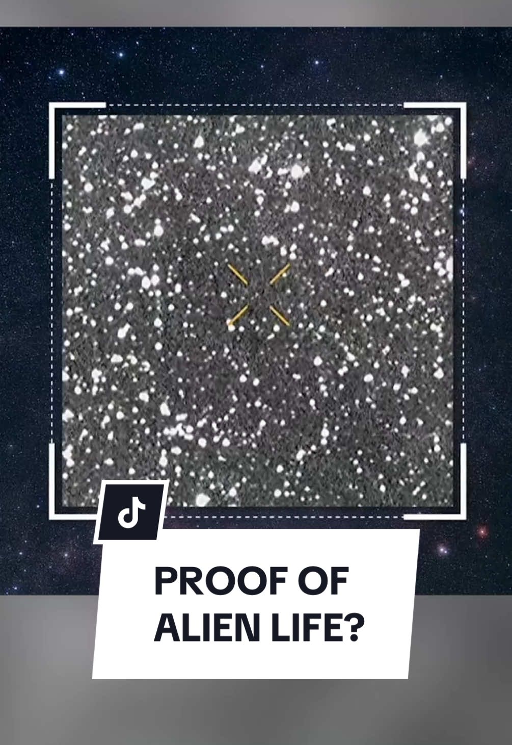 Could this be proof of alien life? Astronomers are tracking a newly discovered object in space. While most agree it's likely a comet, one man thinks otherwise — and he's a Harvard University astrophysicist. Click the link in the bio for more from 10’s Late News.