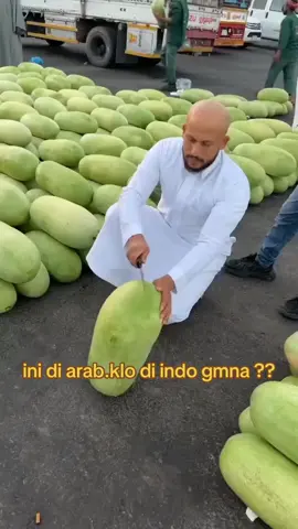 Begini cara peragang arab merajakan pembelinya Di Arab,cara pedagang menjual semangka cukup unik dan menarik. Mereka langsung membelah semangka di depan pembeli agar kualitas buah bisa terlihat dengan jelas. Pembeli bahkan diperbolehkan mencicipinya terlebih dahulu. Jika ternyata semangkanya kurang manis atau warnanya pucat,maka pembeli boleh membatalkannya,tapi itu semua jarang terjadi. Karena semangka di arab,itu terjamin kualitasnya,karena buahnya besar besar,dan rasanya juga manis. #videoviral #videounik #faktadunia #faktamenarik #faktaunik