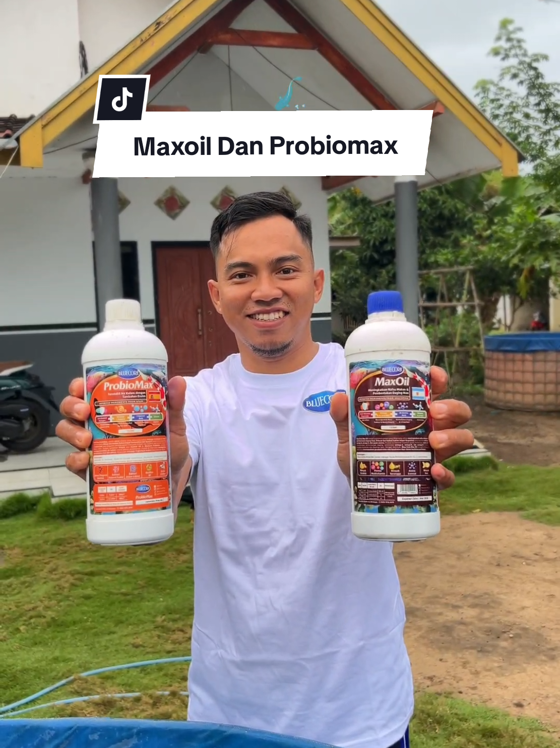 ikan lele pakannya dibibis pakai maxoil dan air kolamnya dirawat dengan probiomax hasilnya lebih mantap 😁👍 @bluecore.id  #ikanlele #budidayalele #fyp #bluecore #lele #budidayaikanlele #probiomax #maxoil 