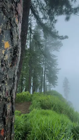 Top of Kabaragala – Where Earth Meets the Sky 🌍☁️ . . . #Kabaragala #KabaragalaMountain #SriLankaHike #Dolosbage #SriLankaTravel #HiddenGemsSL #ExploreSriLanka #HikingTikTok #MountainViews #TrekkingLife #AdventureSriLanka #KandyHikes #Sabaragamuwa #SriLankaNature #IslandAdventures #WanderlustSL #ScenicSriLanka #OffbeatTrails #NatureTikTok #SriLankaVibes #TravelTok #CampingSriLanka #tiktoktravel #SriLankaMountains #MistyMountains #RawanaLegend #KotmaleView #TikTokAdventure #IslandTrekking #tiktoknature 
