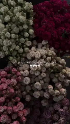 #قران_كريم #ورد #راحة_نفسيه #عبدالرحمن_مسعد #♥️ #🇸🇾 