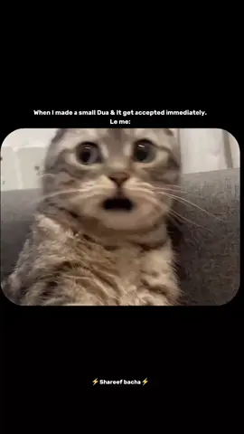 Sometimes we make a small dua like “Ya Allah bas ye choti si cheez hojaye” and don’t even think much… but then it gets accepted so fast, we just sit there like 😳😂 not knowing what just happened! It’s a sweet reminder that even the tiniest prayers, when made with a true heart, are heard by Allah. Ma'Sha'Allah 🫠🤍✨ #foryou #foryoupageofficiall #foryoupage❤️❤️  #viraltiktok #viralvideo #pageforyou_🔥 #fyppppppppppppppppppppppp #fyppppppppppppppppppppppp #fypシ゚  #trending #unfreezemyacount 