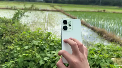 OPPO Reno 14, chiếc điện thoại cận flagship với mức giá không hề rẻ nhưng bù lại là khả năng chụp ảnh rất đỉnh✨. #opporeno14 #opporeno #oppo #camera #android #douyin #douyin抖音 #xuhuong #xuhuongtiktok #xhtiktok 