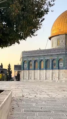 لها حُبٌ وشتياقٌ حتى تَراها حُرة ❤️‍🩹.#المسجدالاقصى #قبة_الصخرة_المشرفة #قبةالصخرة #فيا_حب_فيا_وجدا_واشتياقا_لايحدو #متابعة #لايك #تعليق #الاقصى_الحبيب #حبيبةالاقصى 