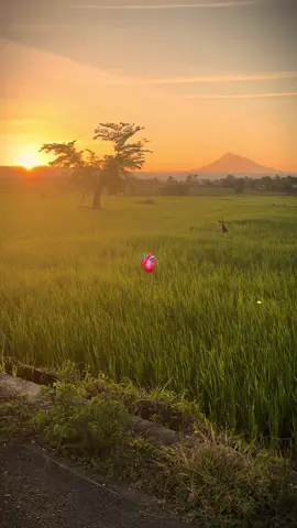 Minna Tomo arigato #oldvibes #songvibes #dirumahaja #partyfavor #nostalgia 