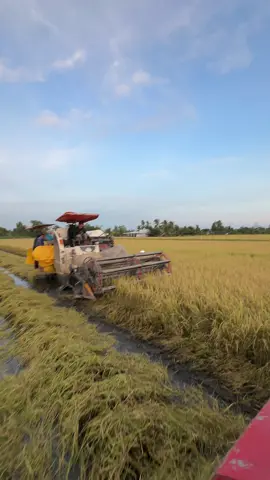 Cặp với trực thăng mặt đất @Phan Thịnh 83. #105xขอนแก่นทีมงานหนุ่มรถเร่ #kubota 