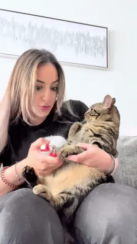 Chase is the cleverest and clingy kitten I have ever seen. Let's wish him a healthy recovery.😂##cat #tiktok #catsoftiktok #fyp #foryou 