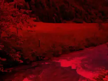 جزء15|| المن تونين😔🤎🫶🏻✨. #ينصح_بأرتداء_السماعات🎧💔 #تصاميم_فيديوهات🎵🎤🎬 #فيدوهات_حسينية #تصاميم_حسينيه #عاشوراء_الاحزان #كربلاء_مدينة_العشق_والعاشقين #تصميمي🎬 #محرم_1443_ويبقى_الحسين 