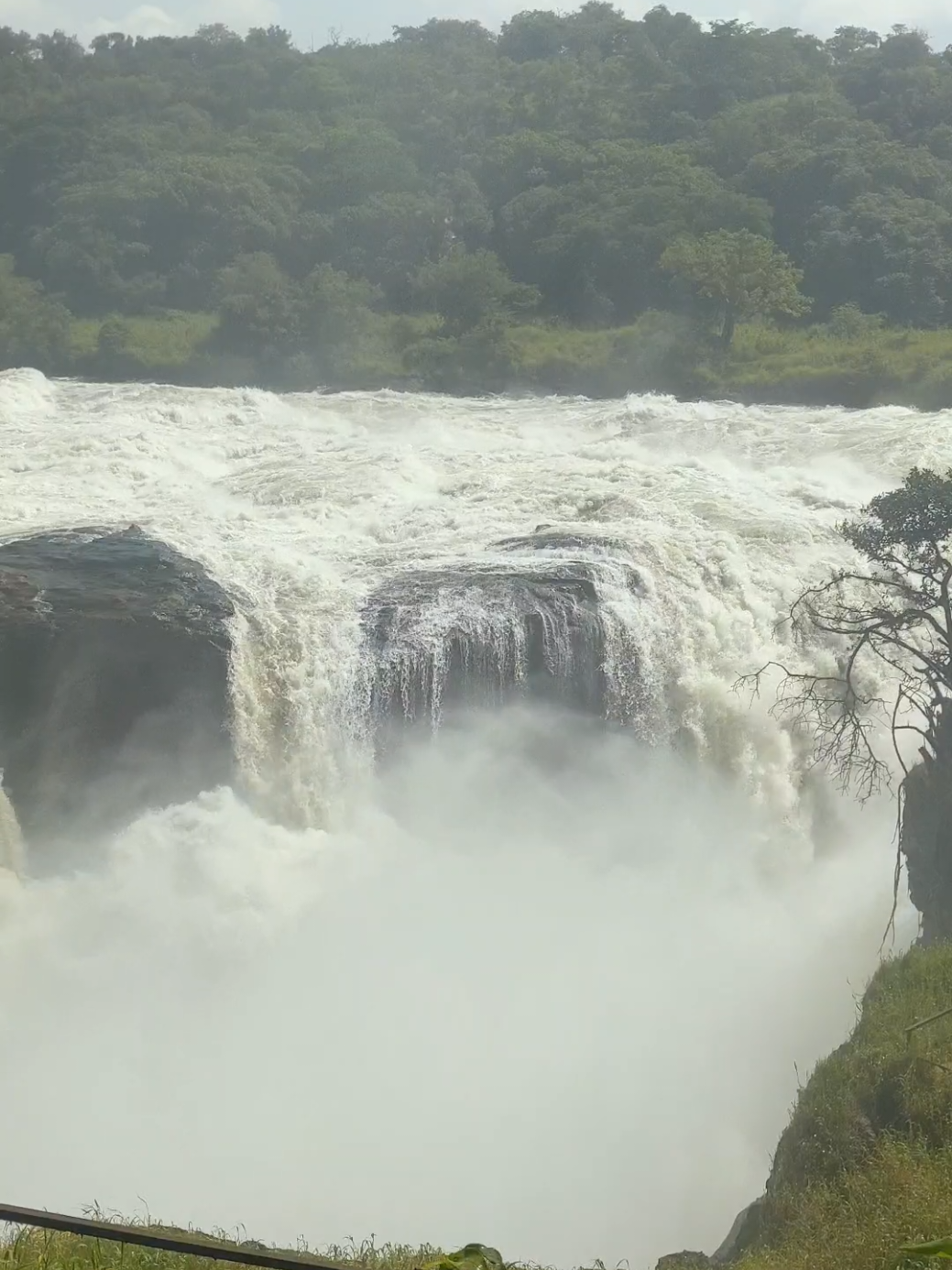 the almighty Murchison Falls #ugandanstiktok🇺🇬love #newplaces #videography #ugandatiktok🇺🇬 #travel #traveltiktok #uganda #traveler #murchisonfallsnationalpark #falls #fyp #park @@ttravel256🇺🇬 