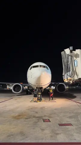 Every night is perfect ✈️