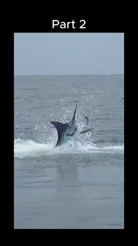 #fishing #entertainment #funny #ishing 