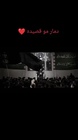 #جديد #سيدفاقدالموسوي💔💔💔 #العراق #العراق_السعوديه_الاردن_الخليج 