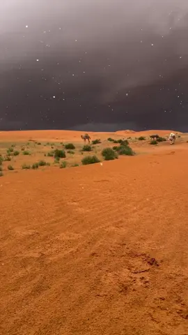 #الشتاء_قادم_يارفاق # يعني نشجعكم للشتاء🤣🤣🤣🤣